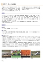 法政大学_後援会冊子2016