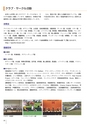 YS_後援会